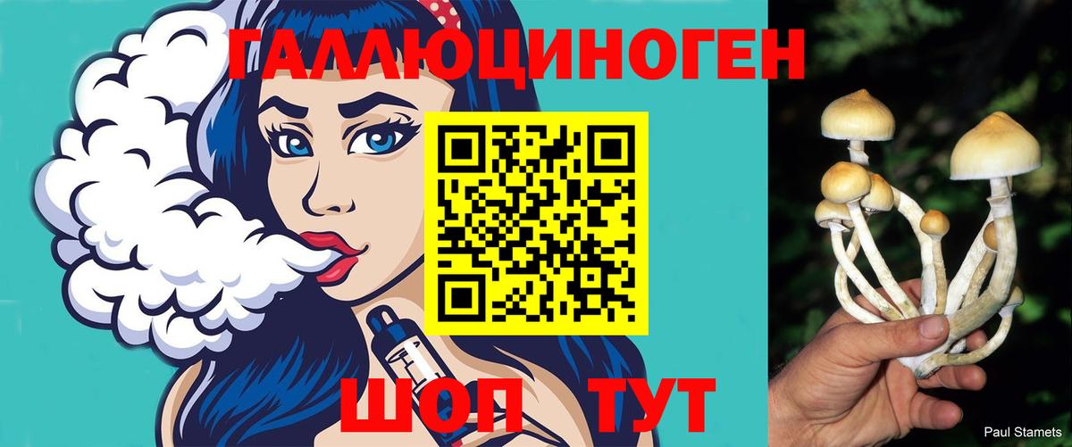 Псилоцибиновые грибы мухоморы  Вход с VPN  Сафоново  Псилоцибиновые грибы мухоморы 